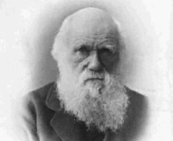 Charles Darwin (1878)