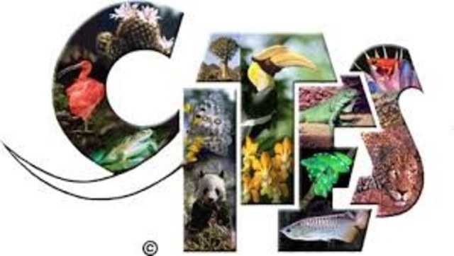 CONVENCION CITES  (Convención sobre el Comercio Internacional de Especies Amenazadas de Fauna y Flora Silvestres)