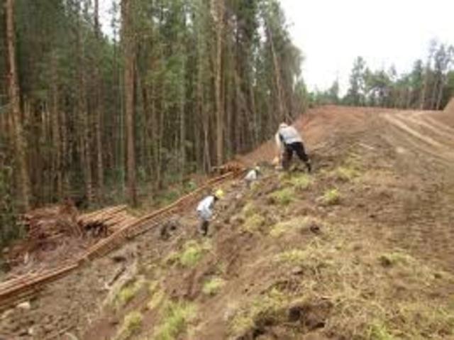 LEY 464 DE 1998 CONVENIO INTERNACIONAL DE LAS MADERAS TROPICALES