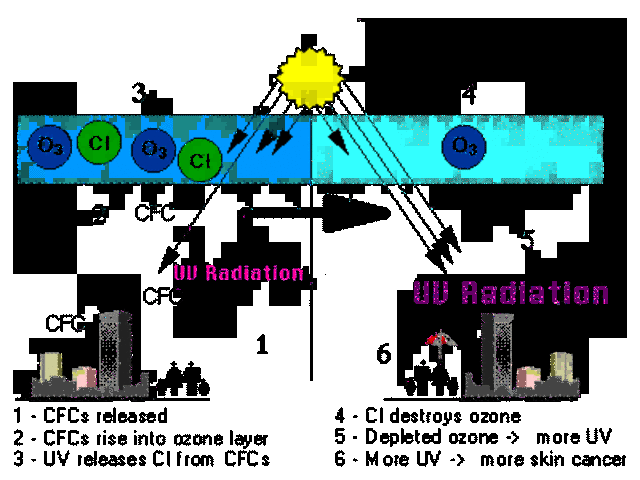 investigaciones de CFCS