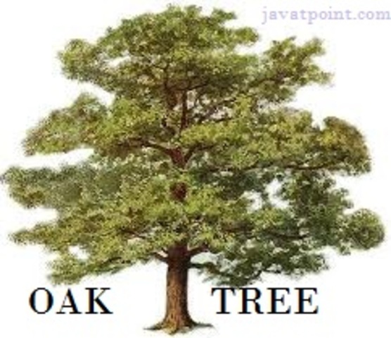 Oak