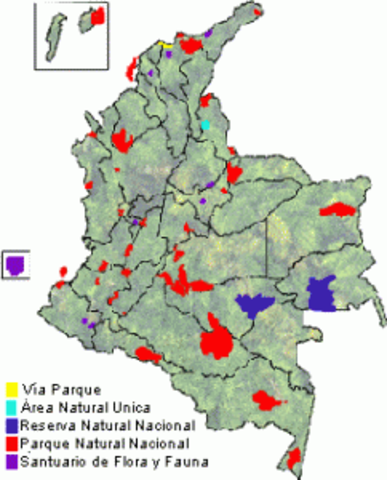 COLOMBIA PROTEGE MAS DE 18 MILLONES DE HECTÁREAS.