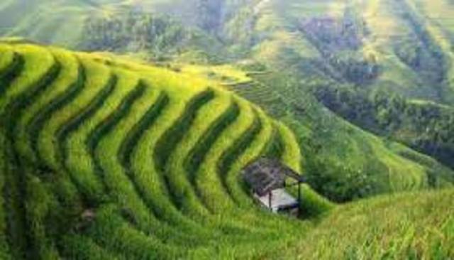 Seminario internacional “Adaptación al cambio climático y las locomotoras de desarrollo”