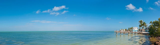 I went to Florida and stayed for a week this summer.