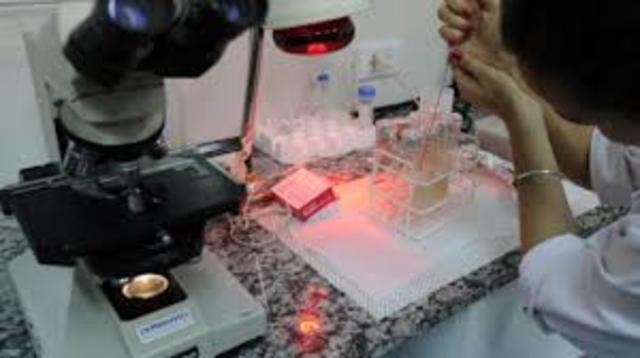 En 2011 crean un nuevo diseño de manipulación genética. .