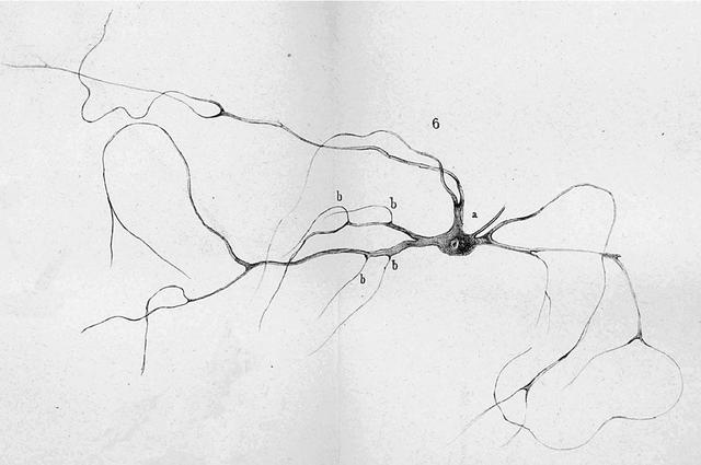Otto Friedrich Dieters