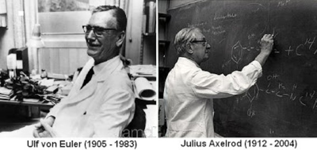 Ulf von Euler (1905-1983) y Julius Axelrod (1912-2004)