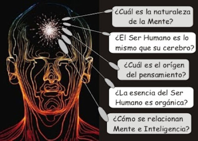 Neuropsicología Cognoscitiva