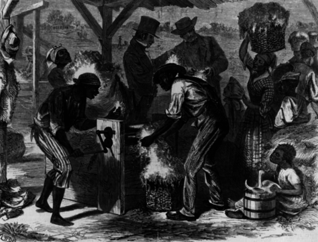 The invention of the cotton gin
