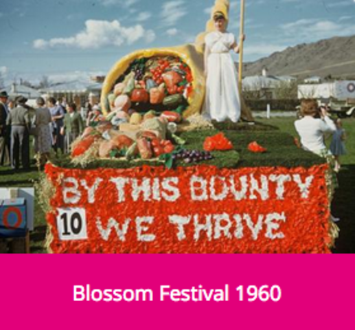 Blossom Festival 1960 Alexandra