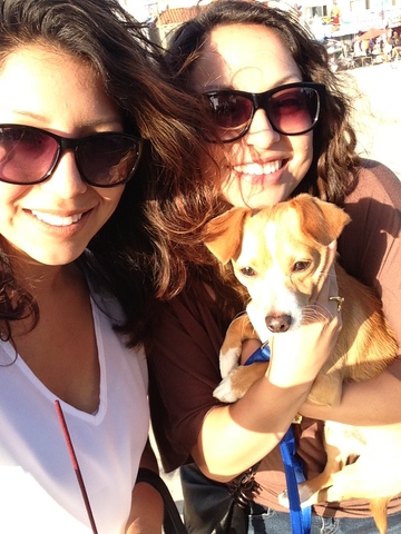 Road Trip to Florida