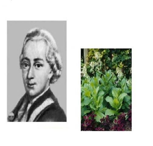 Hibri... que?: Hibridación