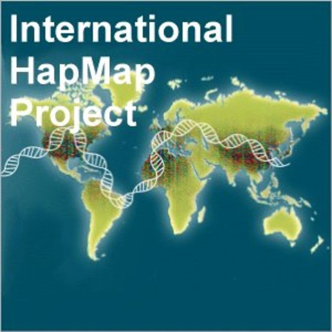 Comienza el Proyecto Internacional Hap Map