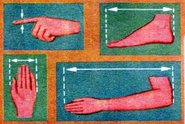 Medidas con el cuerpo 501-600