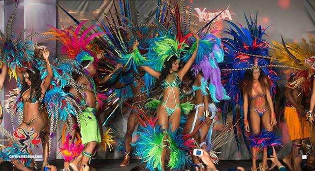 Went to Trinidad's Carnival 2014