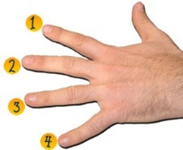 metodo manual de registro