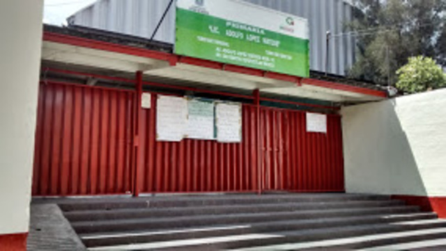 Inicio mis estudios de Primaria