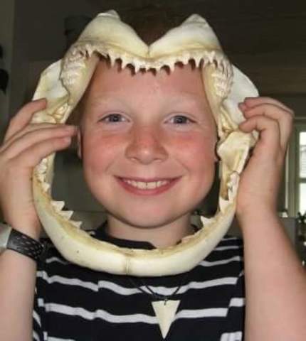 New york bliver angrebet