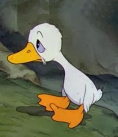 los medio de transporte an abierto las puertas a