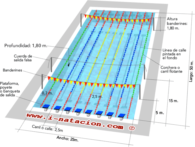 las dimensiones de la piscina