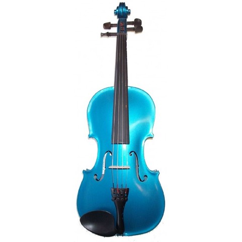 Learned to Play Violin