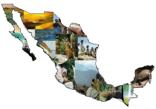 Ley General de Equilibrio Ecológico y Protección al Ambiente