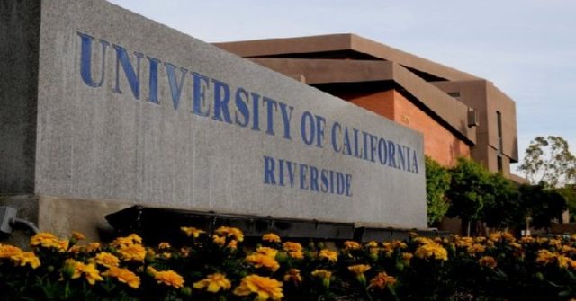 MERLE H. MISHEL 1966 Obtiene su un máster en enfermería especializada en atención psiquiátrica en la Universidad de California.