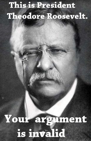 Theodore Roosevelt becomes president