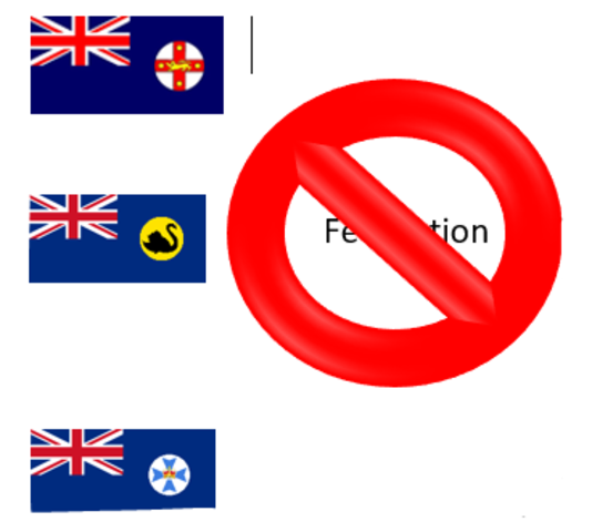 The vote on Constitution