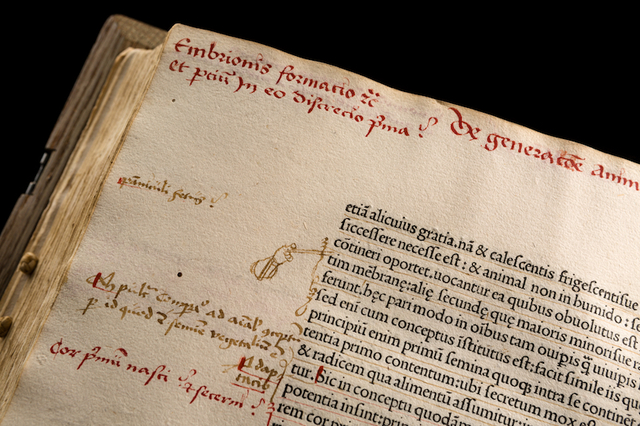 Aristotle's "The History of Animals"