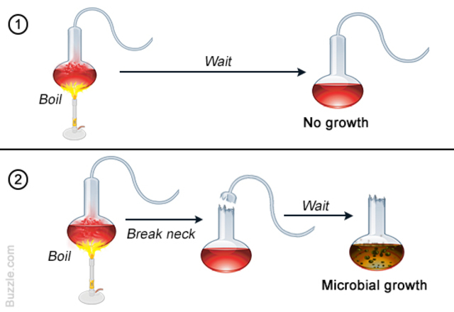 Louis Pasteur Disproves Spontaneous Generation