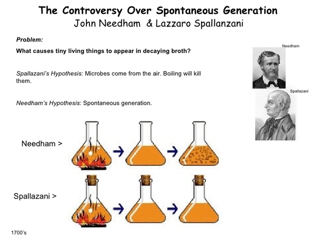 Spallanzani's Experiment