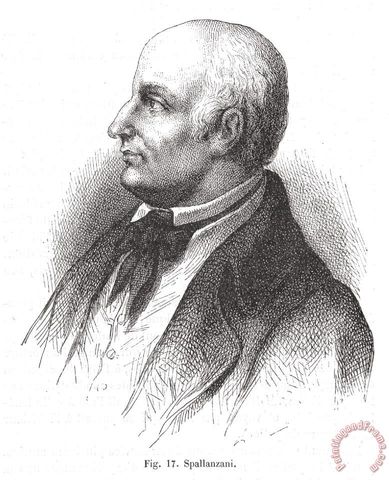 Spallanzani Challenges Needham