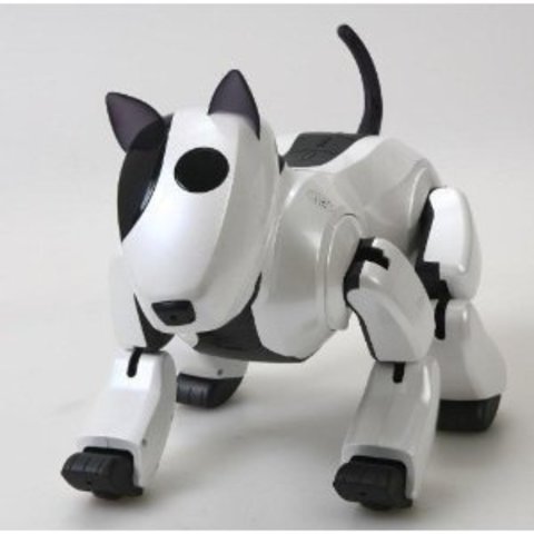 Robotic Dog