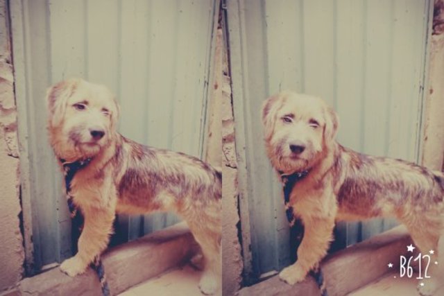 un dia  poker se porto muy mal