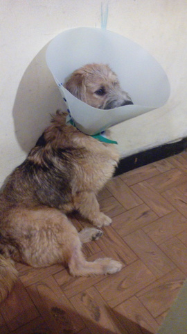 el dia que poker enfermo