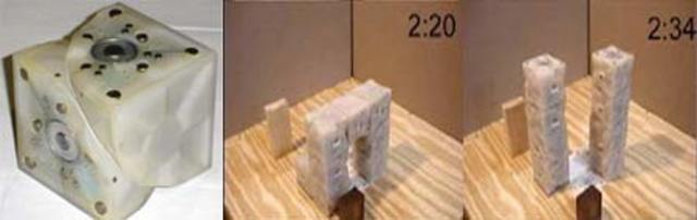 First Self-Replicating Robots