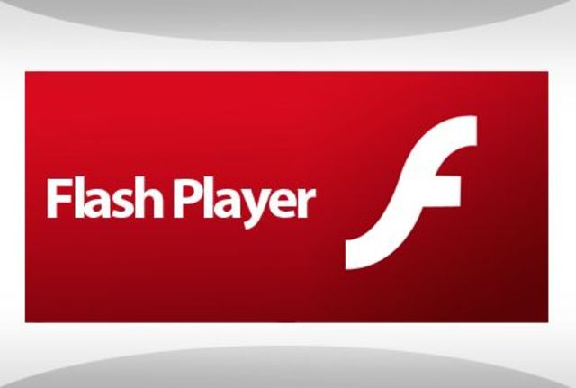 Flash se convirtió en una plataforma para desarrollar aplicaciones web interactivas.