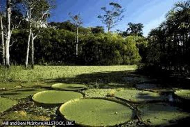 La planificación de los recursos naturales