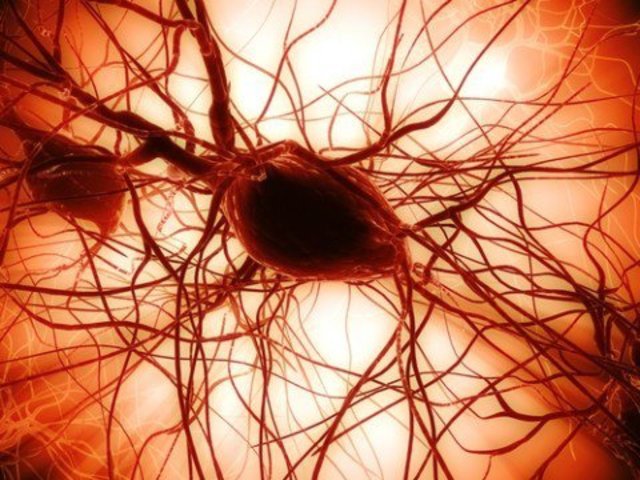 El primer trasplante de nervios humanos