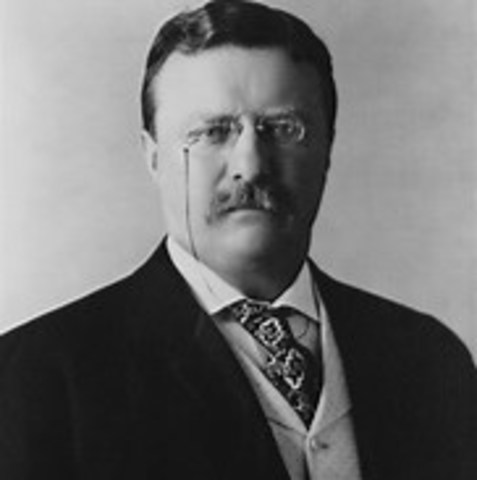 Theodore Roosevelt becomes president