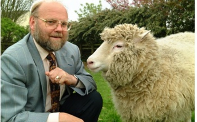 Dolly, primer mamífero clonado a partir de una célula adulta