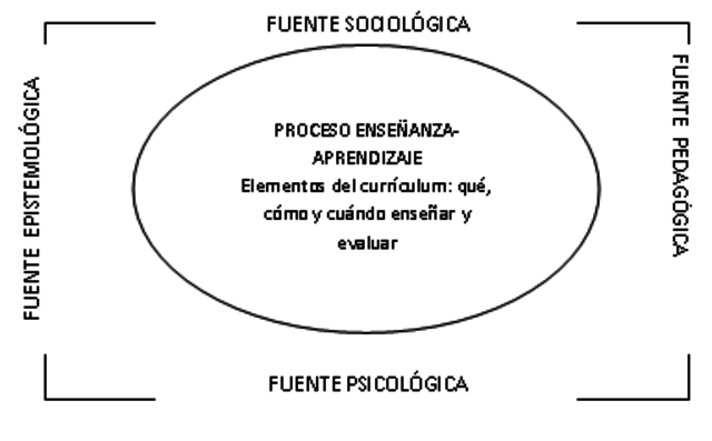 Principios psicológicos y pedagógicos del currículum