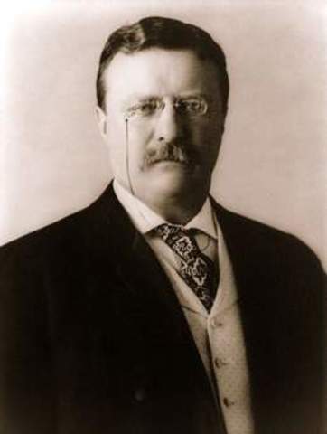 Theodore Roosevelt becomes president