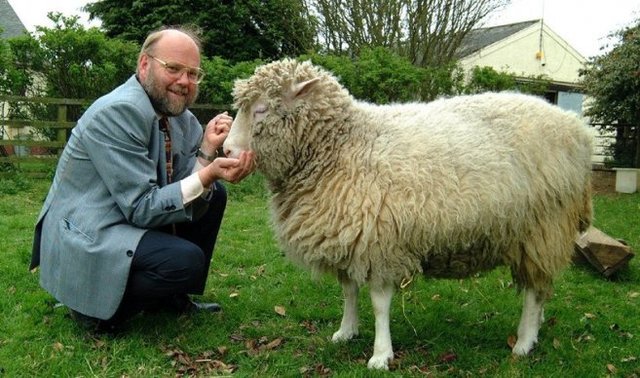 La oveja Dolly