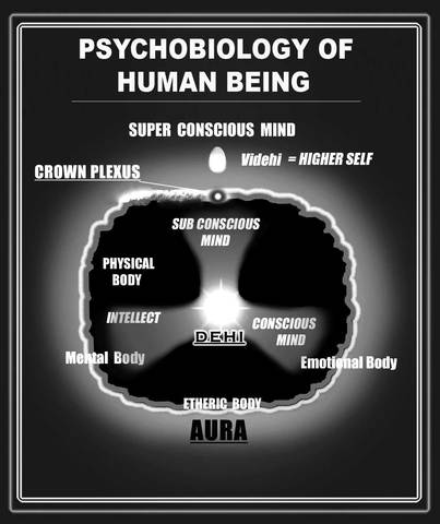 Biological Psychology