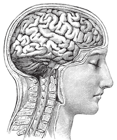 Inicio de la Revolución Científica