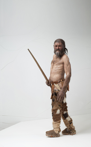 Los primeros signos de la Ingeniería