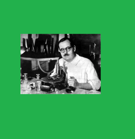 PREMIO NOBEL PARA BERNARDO HOUSSAY