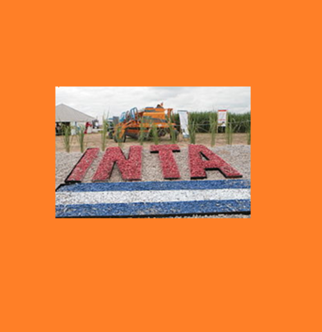 INTA